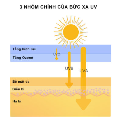 3 nhóm chính của Bức xạ UV