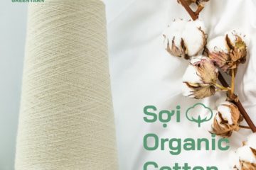 Sợi Organic Cotton