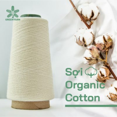 Sợi vải Cotton