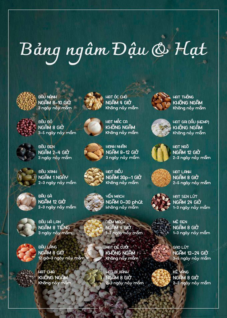 Bảng ngâm đậu và hạt